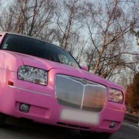 Limousine rose